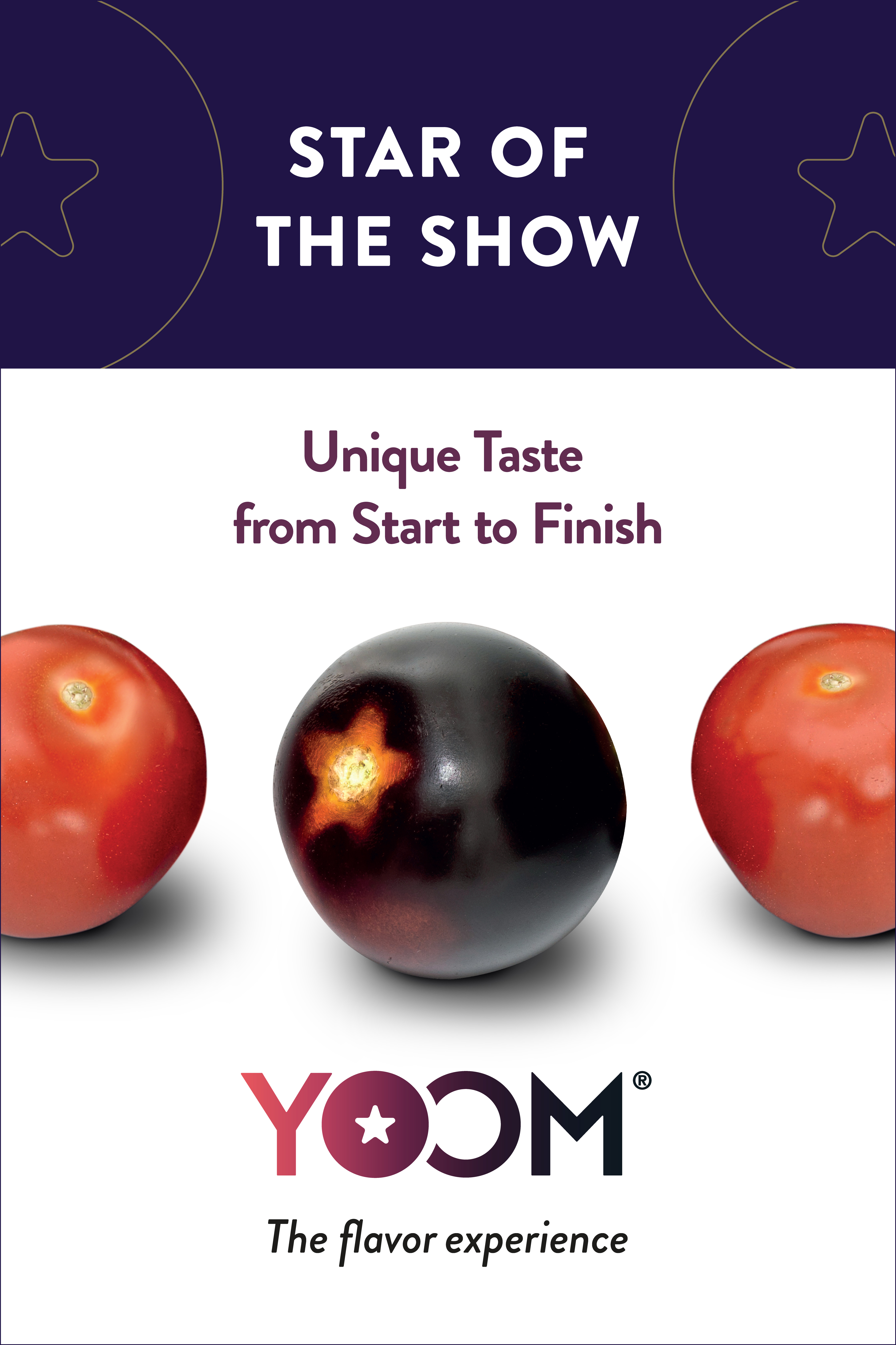 Star of The Show Image